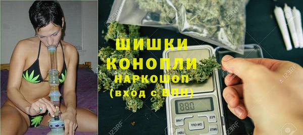 меф Пересвет