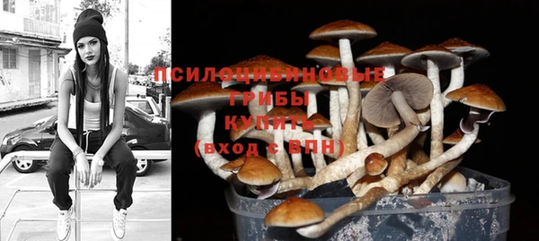 эйфоретик Пестово
