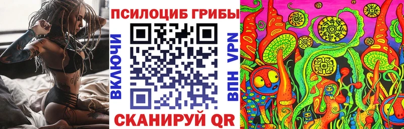 Галлюциногенные грибы Psilocybine cubensis  Купить  Шимановск 